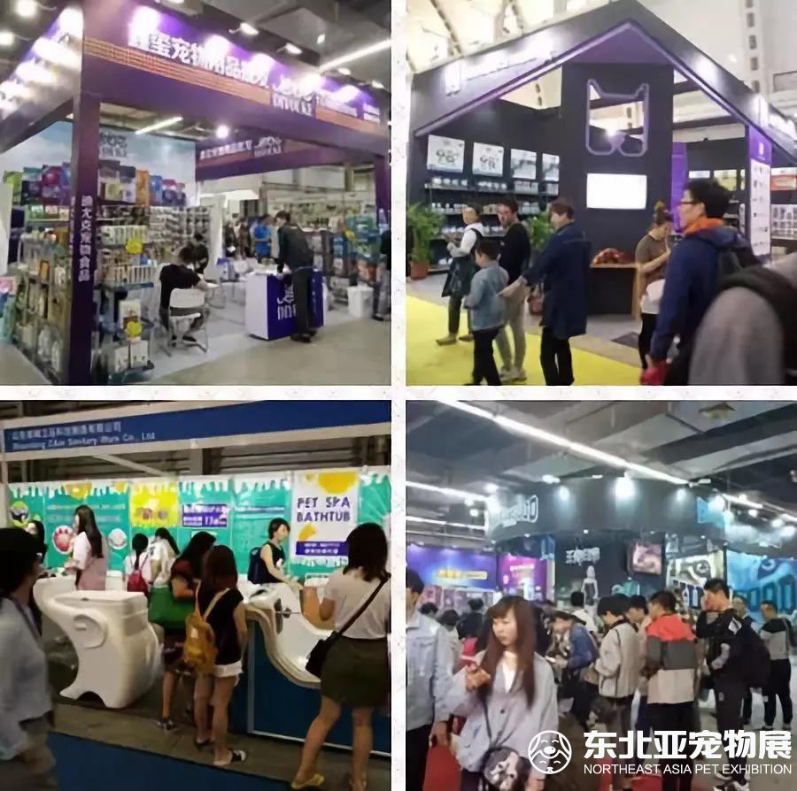 2019东北亚宠物展 引领东北宠物行业的风向标