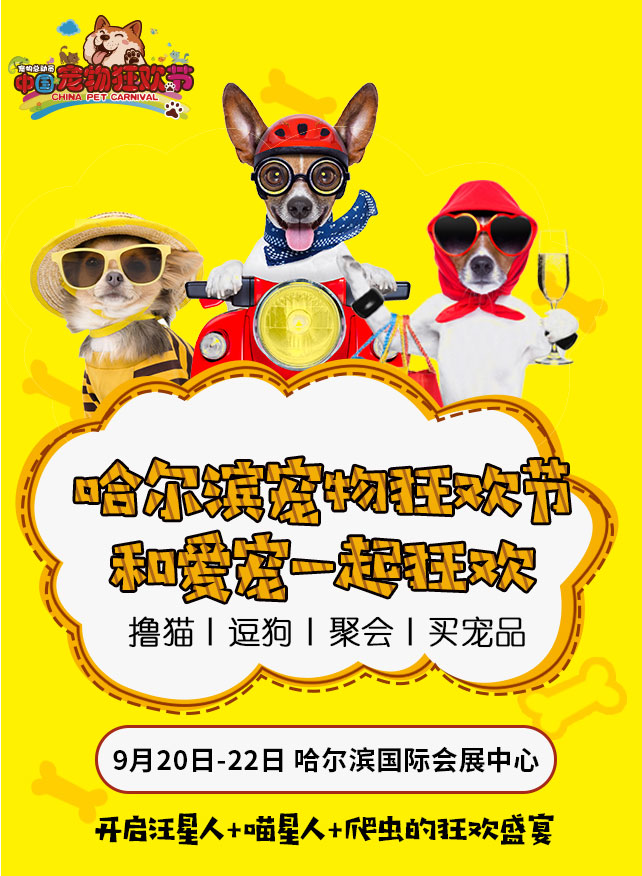 毛孩子福利|哈尔滨宠物展门票限时免费领！