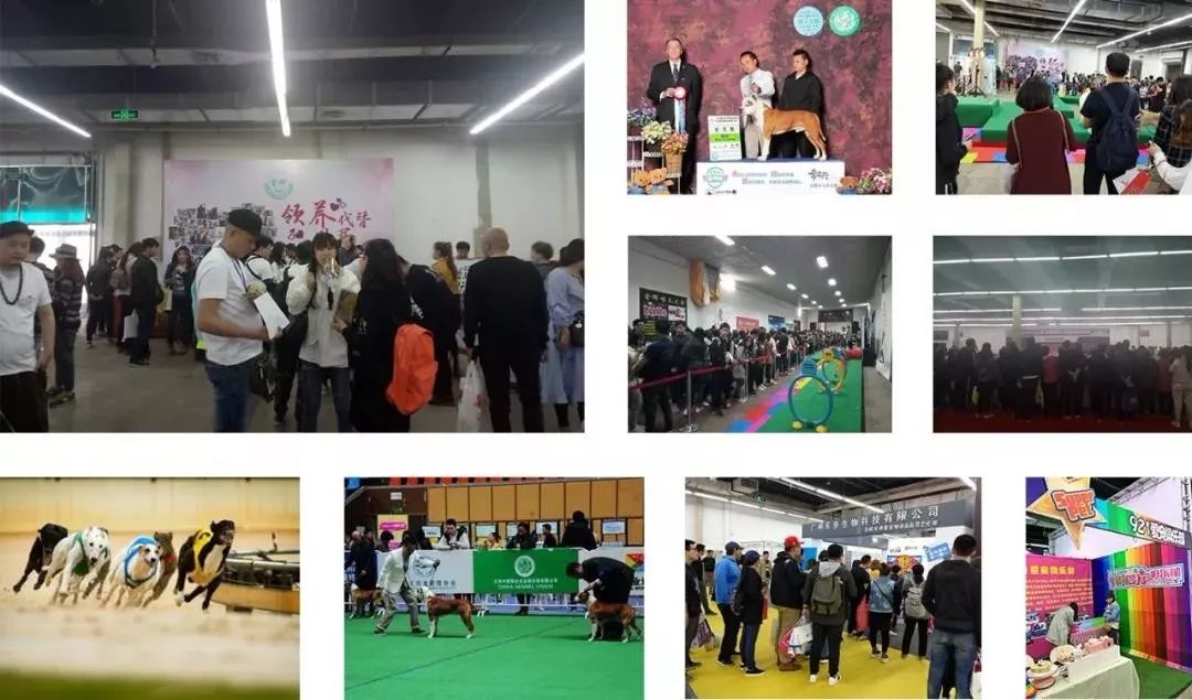 旺贝贝邀您相约2019东北亚（哈尔滨）宠物用品展