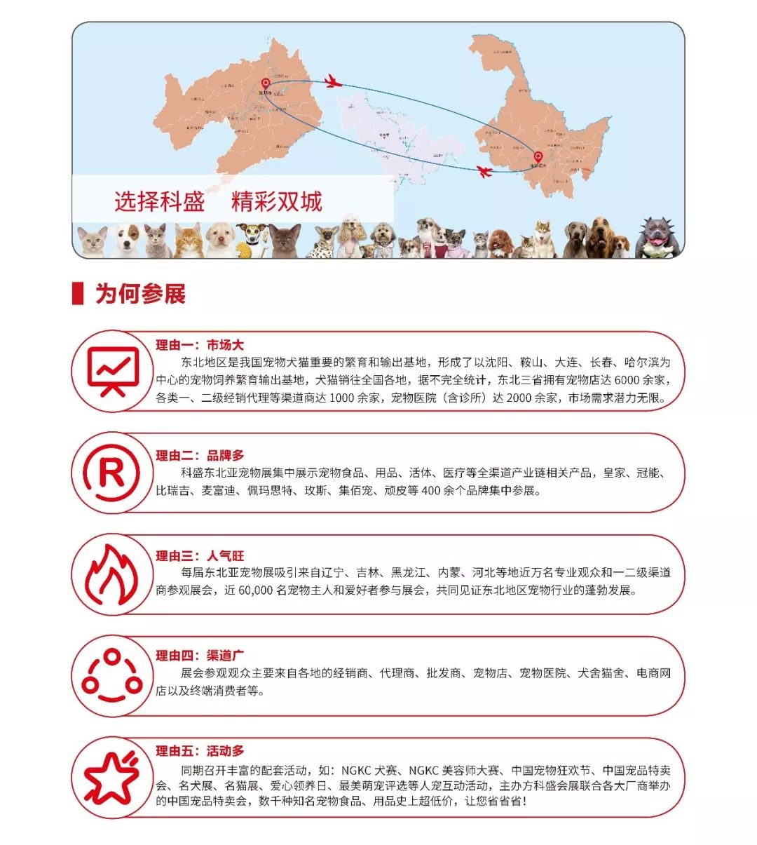 携手科盛 精彩双城|2020第五届科盛东北亚宠物用品展盛世起航