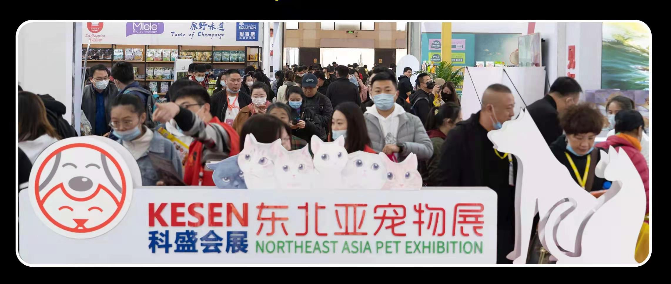 速来！东北亚沈阳宠物展专业观众预登记通道全面开启，报名火热进行